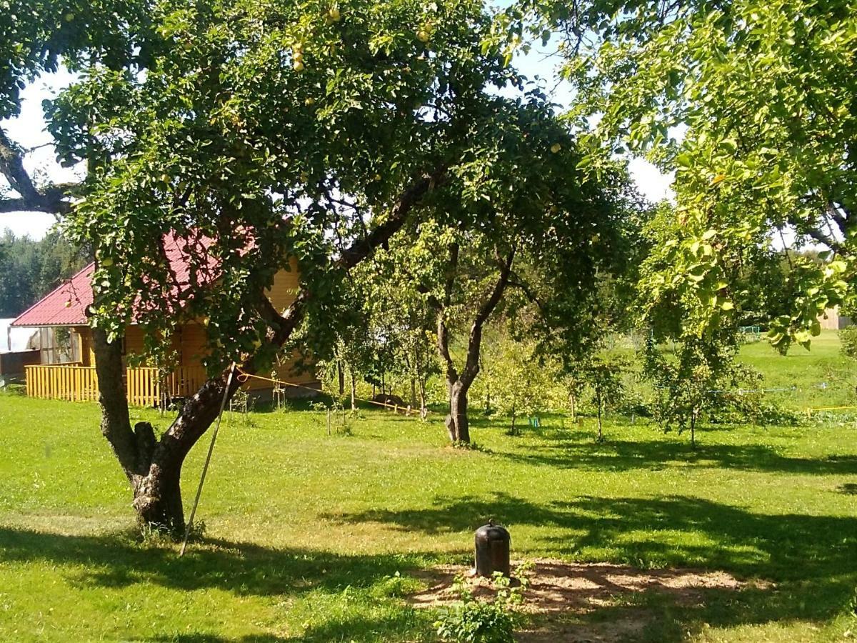 Česlovos sodyba Zarasai Exteriér fotografie